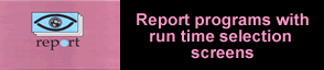report_logo